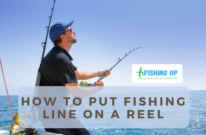 How to Put Fishing Line on a Reel: Spinning & Closed Reel Spooling - Fishing  OP