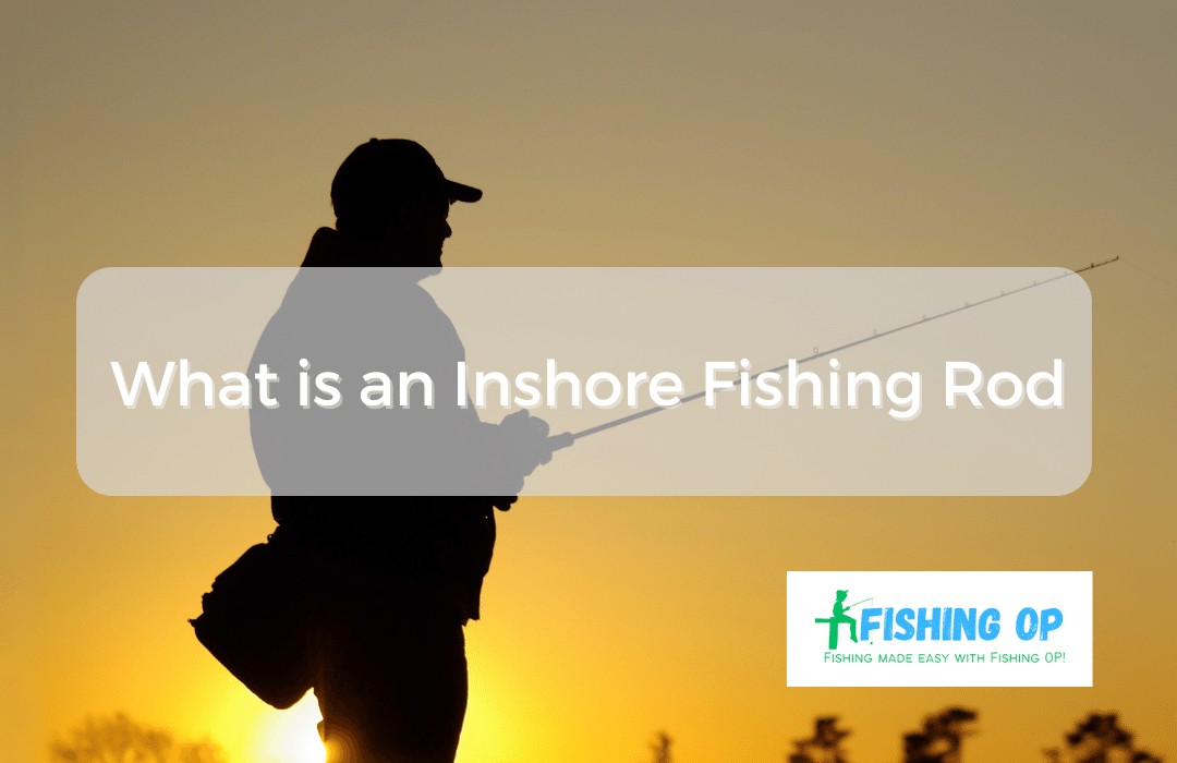What is an Inshore Fishing Rod  Types & Features [Detailed Guide