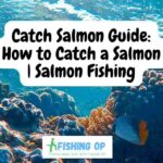 How to Catch a Salmon