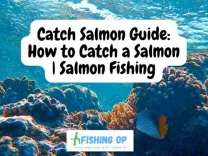 How to Catch a Salmon