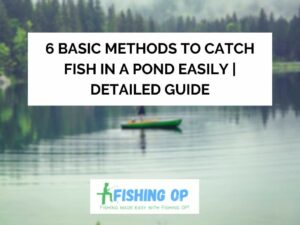 How to Catch Fish in a Pond