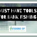 Must Have Tools for Bank Fishing