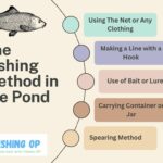 The Fishing Methods in the Pond