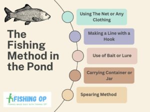 Fishing Methods in the Pond