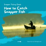 How to Catch Snapper Fish